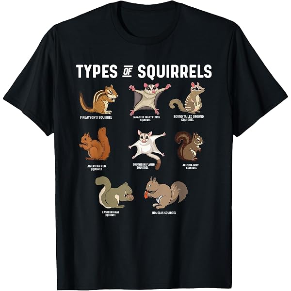 Amazon.com: Varieties of Squirrels Shirt Funny Squirrel Squirrels